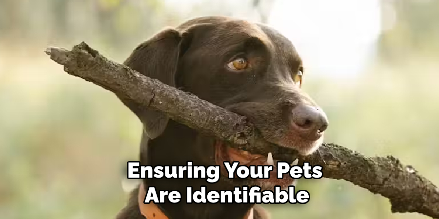 Ensuring Your Pets
 Are Identifiable