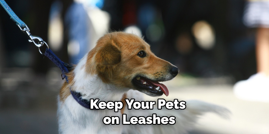 Keep Your Pets
 on Leashes