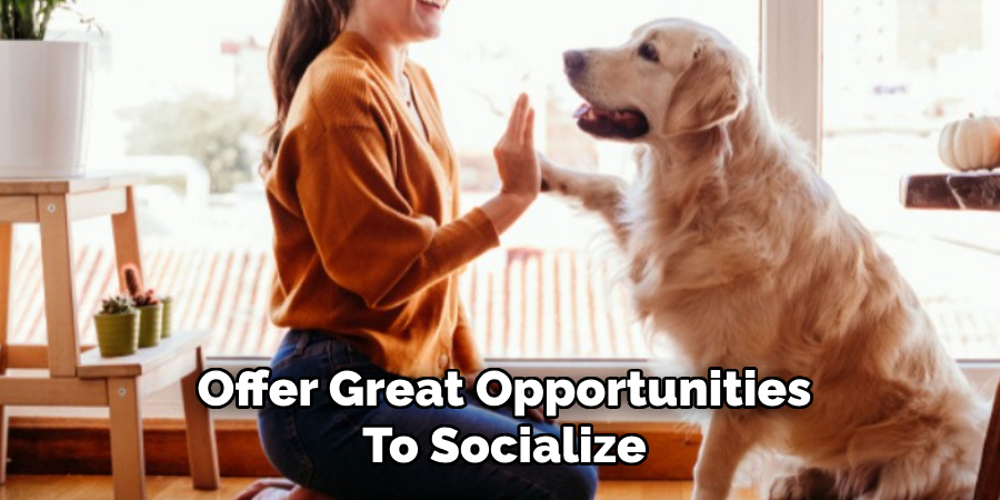 Offer Great Opportunities 
To Socialize