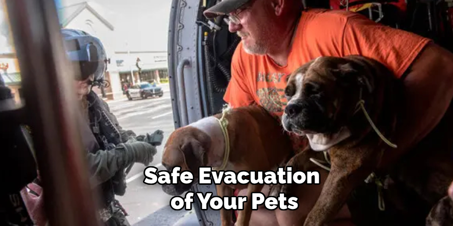 Safe Evacuation
 of Your Pets