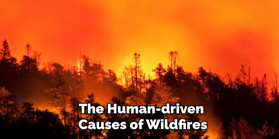 The Human-driven 
Causes of Wildfires