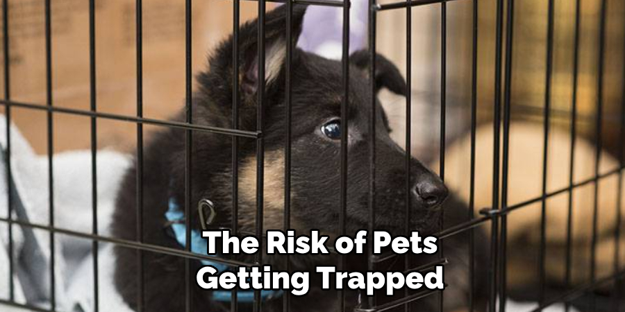 The Risk of Pets
 Getting Trapped 