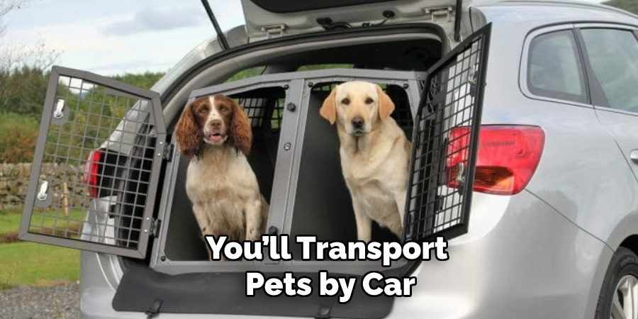 You’ll Transport
 Pets by Car