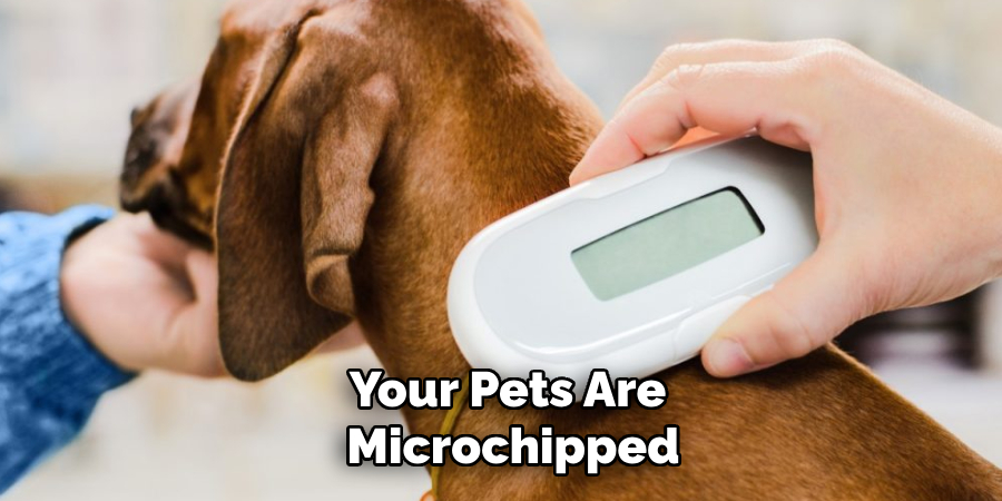 Your Pets Are 
Microchipped