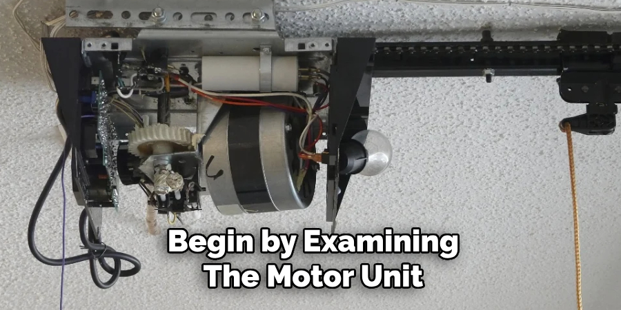 Begin by Examining
The Motor Unit