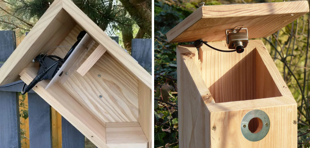 How to Set Up a Nest Box Camera