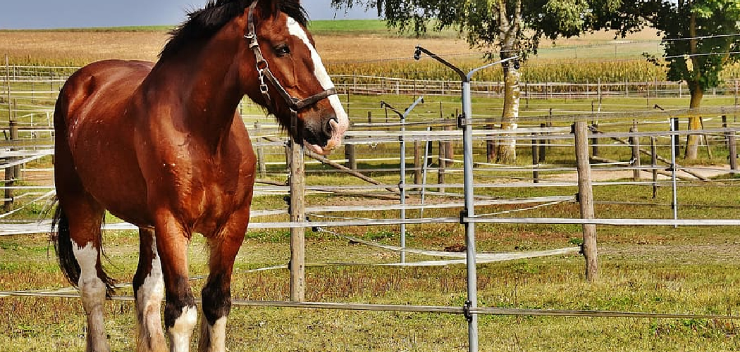 How to Build a Horse Fence Cheap