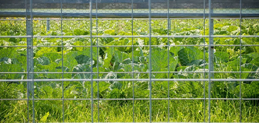 How to Install Fence Staples