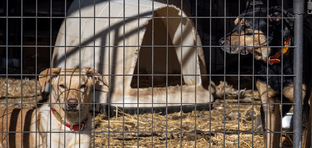 How to Secure a Dog Crate Door