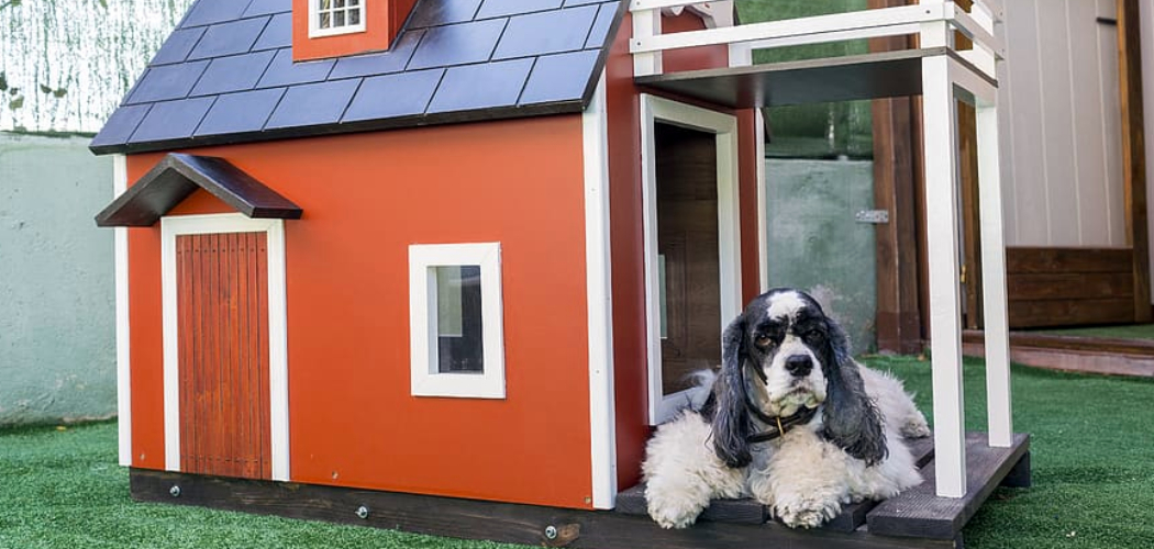 How to Protect Pets From Household Hazards